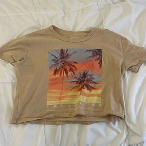 Hollister Cute Vintage Cropped Shirt